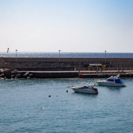 海鸥旅馆